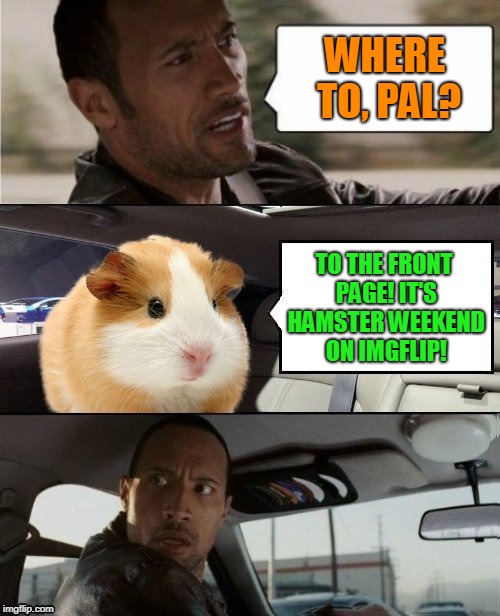 The Rock and Hammy | WHERE TO, PAL? TO THE FRONT PAGE! IT'S HAMSTER WEEKEND ON IMGFLIP! | image tagged in the rock and hammy | made w/ Imgflip meme maker