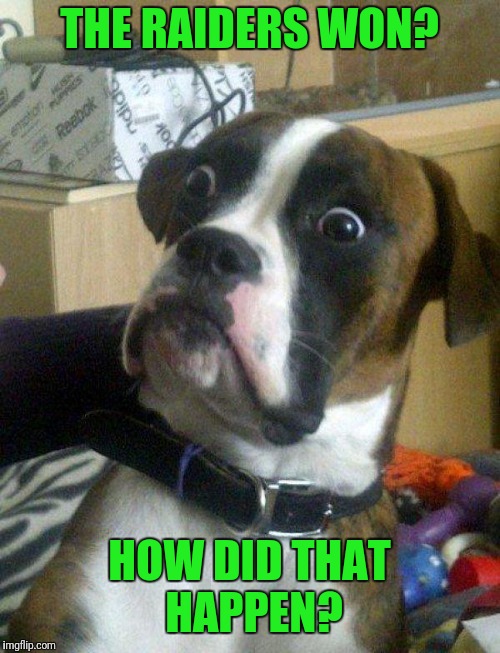 Blankie the Shocked Dog | THE RAIDERS WON? HOW DID THAT HAPPEN? | image tagged in blankie the shocked dog | made w/ Imgflip meme maker