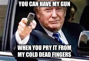YOU CAN HAVE MY GUN; WHEN YOU PRY IT FROM MY COLD DEAD FINGERS | image tagged in trump | made w/ Imgflip meme maker