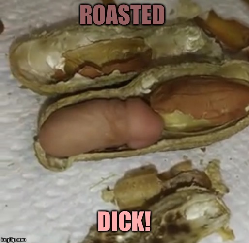 ROASTED DICK! | made w/ Imgflip meme maker