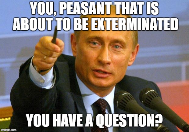 Good Guy Putin | YOU, PEASANT THAT IS ABOUT TO BE EXTERMINATED; YOU HAVE A QUESTION? | image tagged in memes,good guy putin | made w/ Imgflip meme maker