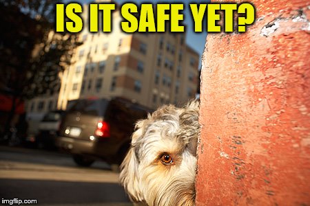 IS IT SAFE YET? | made w/ Imgflip meme maker