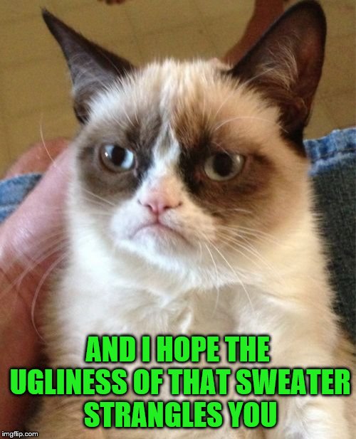 Grumpy Cat Meme | AND I HOPE THE UGLINESS OF THAT SWEATER STRANGLES YOU | image tagged in memes,grumpy cat | made w/ Imgflip meme maker