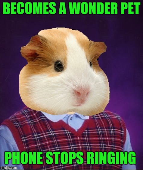 There's No Animal In Trouble Anywhere | BECOMES A WONDER PET; PHONE STOPS RINGING | image tagged in wonder pets | made w/ Imgflip meme maker