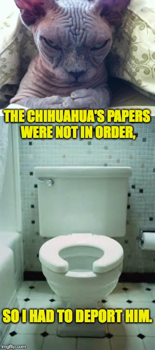 Ai yi yi!  Bye. | THE CHIHUAHUA'S PAPERS WERE NOT IN ORDER, SO I HAD TO DEPORT HIM. | image tagged in memes,deportation | made w/ Imgflip meme maker