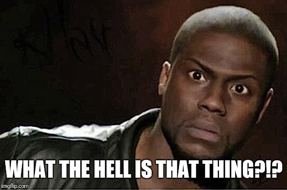 Kevin Hart Meme | WHAT THE HELL IS THAT THING?!? | image tagged in memes,kevin hart | made w/ Imgflip meme maker
