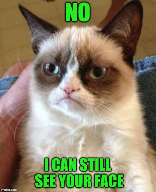 Grumpy Cat Meme | NO I CAN STILL SEE YOUR FACE | image tagged in memes,grumpy cat | made w/ Imgflip meme maker