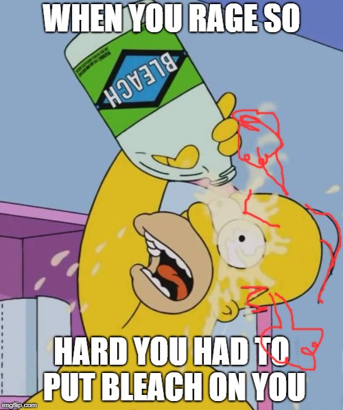 Homer with bleach | WHEN YOU RAGE SO; HARD YOU HAD TO PUT BLEACH ON YOU | image tagged in homer with bleach | made w/ Imgflip meme maker