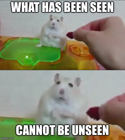 Hamster Week, from June 6th-8th, a 1ForPeace and Shen_Hiroku_Nagato event. | WHAT HAS BEEN SEEN; CANNOT BE UNSEEN | image tagged in cannot unsee,hamster weekend,1forpeace,shen_hiroku_nagato | made w/ Imgflip meme maker