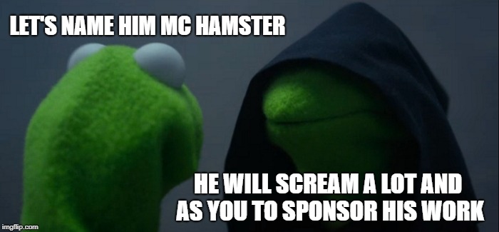 Evil Kermit Meme | LET'S NAME HIM MC HAMSTER HE WILL SCREAM A LOT AND AS YOU TO SPONSOR HIS WORK | image tagged in memes,evil kermit | made w/ Imgflip meme maker
