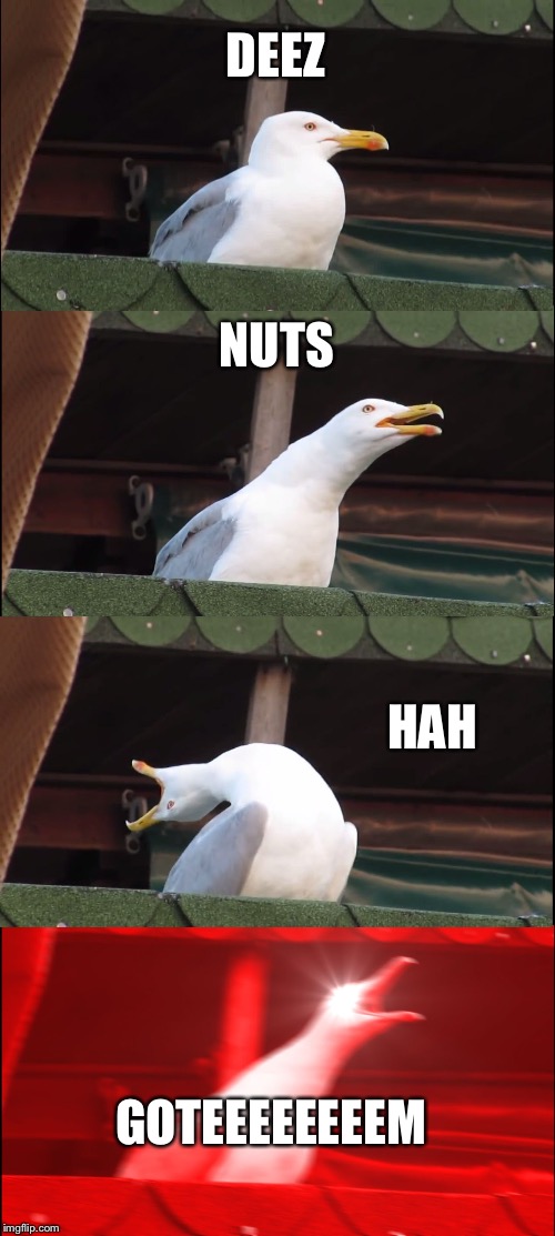 Inhaling Seagull Meme | DEEZ; NUTS; HAH; GOTEEEEEEEEM | image tagged in memes,inhaling seagull | made w/ Imgflip meme maker