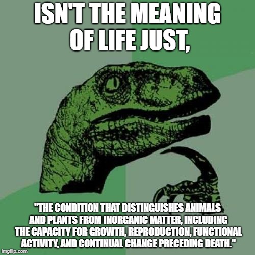 The meaning of life - Imgflip