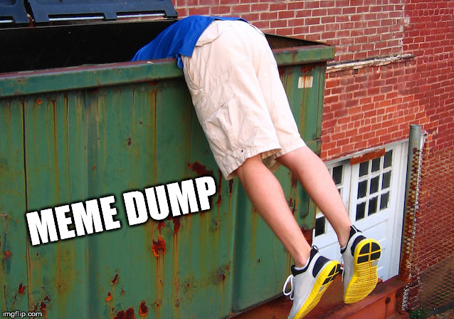 Dumpster Dive | MEME DUMP | image tagged in dumpster dive | made w/ Imgflip meme maker