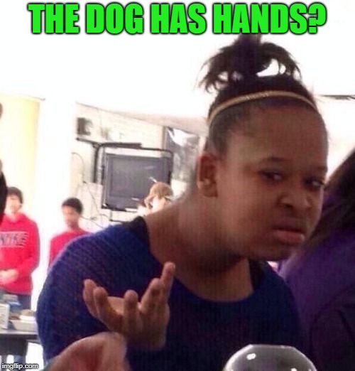 Black Girl Wat Meme | THE DOG HAS HANDS? | image tagged in memes,black girl wat | made w/ Imgflip meme maker