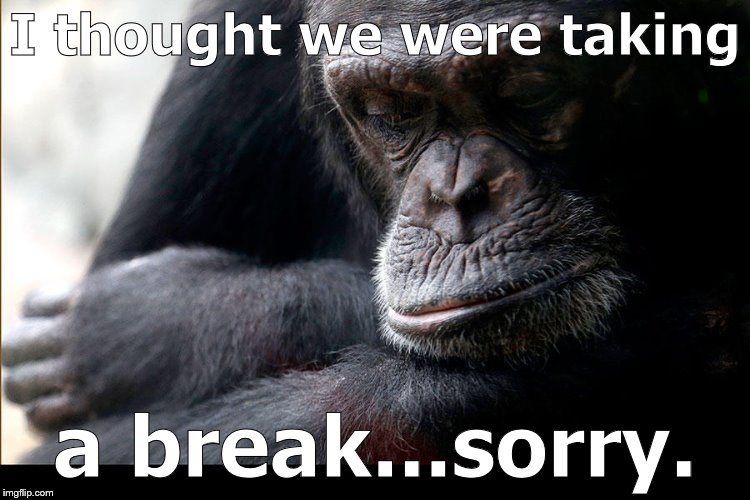 Koko | I thought we were taking a break...sorry. | image tagged in koko | made w/ Imgflip meme maker