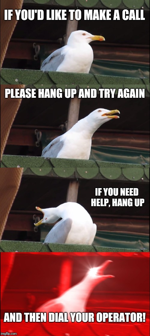 Inhaling Seagull | IF YOU'D LIKE TO MAKE A CALL; PLEASE HANG UP AND TRY AGAIN; IF YOU NEED HELP, HANG UP; AND THEN DIAL YOUR OPERATOR! | image tagged in memes,inhaling seagull,dial your operator | made w/ Imgflip meme maker
