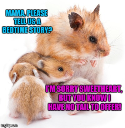 MAMA, PLEASE TELL US A BEDTIME STORY? I'M SORRY SWEETHEART, BUT YOU KNOW I HAVE NO TAIL TO OFFER! | image tagged in mama,please,hamster weekend | made w/ Imgflip meme maker
