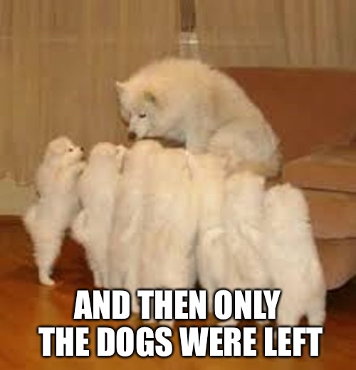 Storytelling Dog 2 | AND THEN ONLY THE DOGS WERE LEFT | image tagged in storytelling dog 2 | made w/ Imgflip meme maker