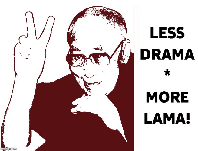 Less Drama, More Lama! | image tagged in less drama,more lama,peace,relax | made w/ Imgflip meme maker