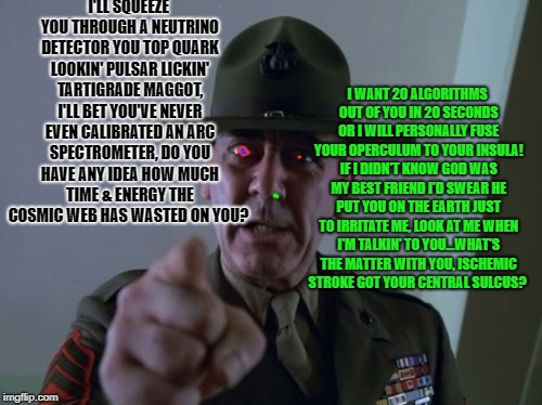 Sergeant Hartmann Meme | I'LL SQUEEZE YOU THROUGH A NEUTRINO DETECTOR YOU TOP QUARK LOOKIN' PULSAR LICKIN' TARTIGRADE MAGGOT, I'LL BET YOU'VE NEVER EVEN CALIBRATED AN ARC SPECTROMETER, DO YOU HAVE ANY IDEA HOW MUCH TIME & ENERGY THE COSMIC WEB HAS WASTED ON YOU? I WANT 20 ALGORITHMS OUT OF YOU IN 20 SECONDS OR I WILL PERSONALLY FUSE YOUR OPERCULUM TO YOUR INSULA! IF I DIDN'T KNOW GOD WAS MY BEST FRIEND I'D SWEAR HE PUT YOU ON THE EARTH JUST TO IRRITATE ME, LOOK AT ME WHEN I'M TALKIN' TO YOU...WHAT'S THE MATTER WITH YOU, ISCHEMIC STROKE GOT YOUR CENTRAL SULCUS? | image tagged in memes,sergeant hartmann | made w/ Imgflip meme maker