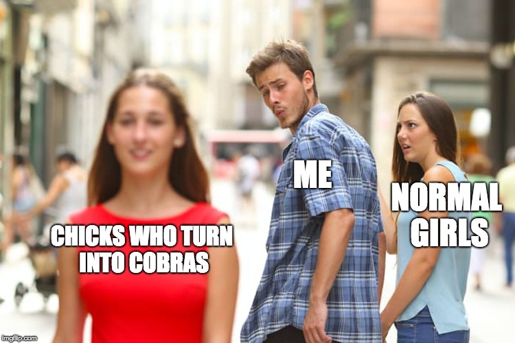 Distracted Boyfriend Meme | CHICKS WHO TURN INTO COBRAS ME NORMAL GIRLS | image tagged in memes,distracted boyfriend | made w/ Imgflip meme maker