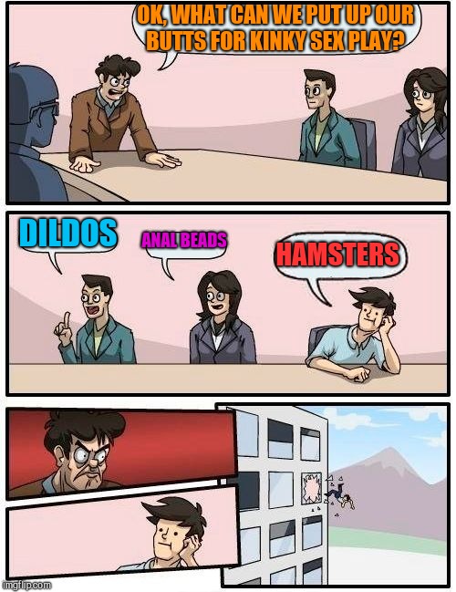 Hamster Weekend July 6-8, a bachmemeguy2, 1forpeace & Shen_Hiroku_Nagato event! | OK, WHAT CAN WE PUT UP OUR BUTTS FOR KINKY SEX PLAY? DILDOS; ANAL BEADS; HAMSTERS | image tagged in memes,boardroom meeting suggestion,hamster weekend,nsfw,jbmemegeek | made w/ Imgflip meme maker