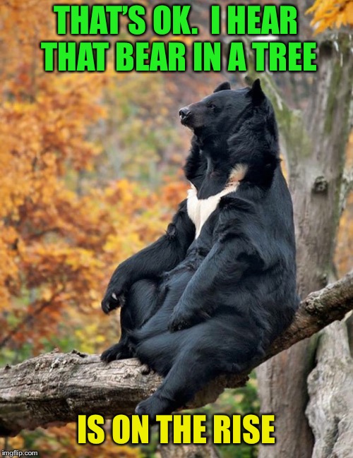 THAT’S OK.  I HEAR THAT BEAR IN A TREE IS ON THE RISE | made w/ Imgflip meme maker