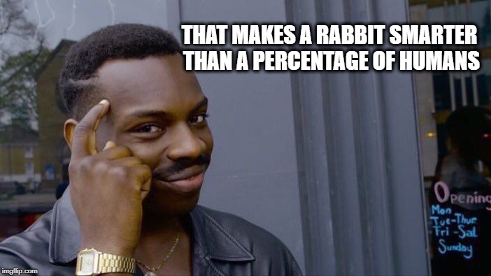 Roll Safe Think About It Meme | THAT MAKES A RABBIT SMARTER THAN A PERCENTAGE OF HUMANS | image tagged in memes,roll safe think about it | made w/ Imgflip meme maker