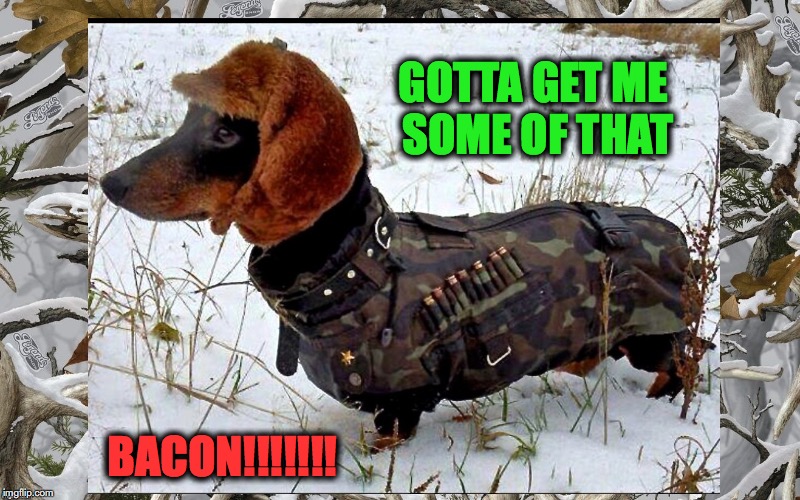 GOTTA GET ME SOME OF THAT BACON!!!!!!! | made w/ Imgflip meme maker