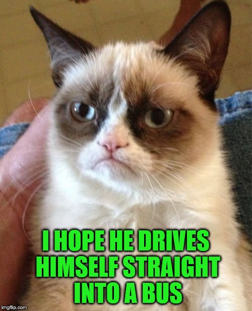 Grumpy Cat Meme | I HOPE HE DRIVES HIMSELF STRAIGHT INTO A BUS | image tagged in memes,grumpy cat | made w/ Imgflip meme maker