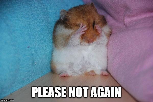 crying hamster | PLEASE NOT AGAIN | image tagged in crying hamster | made w/ Imgflip meme maker