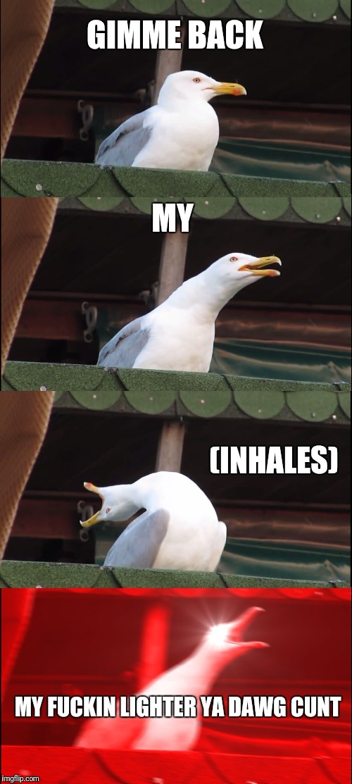 Wheres me fuckin lighter dawg  | GIMME BACK; MY; (INHALES); MY FUCKIN LIGHTER YA DAWG CUNT | image tagged in memes,inhaling seagull,funny memes,aussie,smokers,lighter | made w/ Imgflip meme maker
