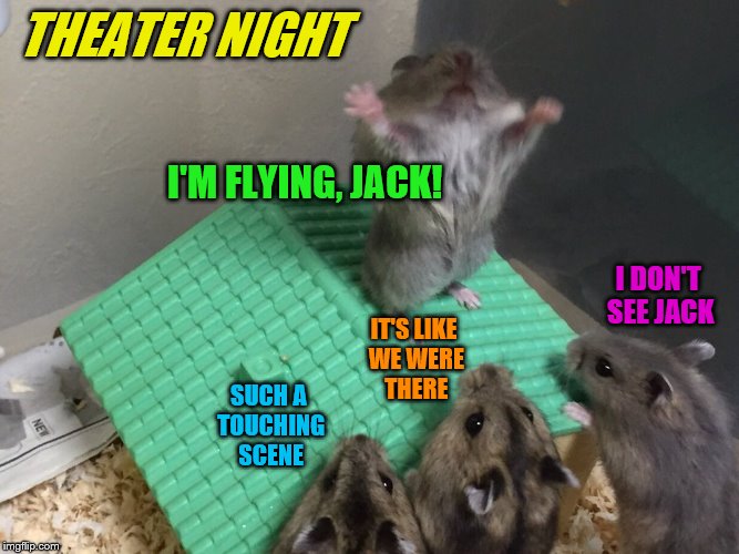 Titanic re-enactment - Hamster Weekend July 6-8, a bachmemeguy2, 1forpeace & Shen_Hiroku_Nagato event | THEATER NIGHT; I'M FLYING, JACK! I DON'T SEE JACK; IT'S LIKE WE WERE THERE; SUCH A TOUCHING SCENE | image tagged in hamster king of the mountain,memes,titanic,theater,hamster weekend | made w/ Imgflip meme maker