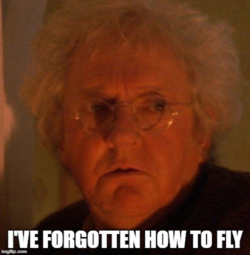 I'VE FORGOTTEN HOW TO FLY | made w/ Imgflip meme maker