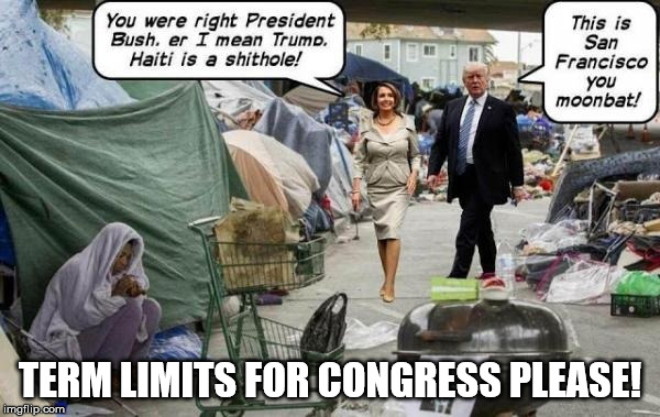 TERM LIMITS FOR CONGRESS PLEASE! | image tagged in nancy pelosi | made w/ Imgflip meme maker