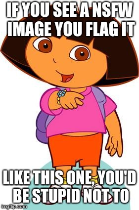 DORA IS NOT SAFE FOR WORK | IF YOU SEE A NSFW IMAGE YOU FLAG IT; LIKE THIS ONE, YOU'D BE STUPID NOT TO | image tagged in dora | made w/ Imgflip meme maker