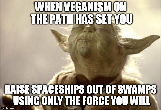 IN 2013 YODA BE LIKE | WHEN VEGANISM ON THE PATH HAS SET YOU RAISE SPACESHIPS OUT OF SWAMPS USING ONLY THE FORCE YOU WILL | image tagged in in 2013 yoda be like | made w/ Imgflip meme maker