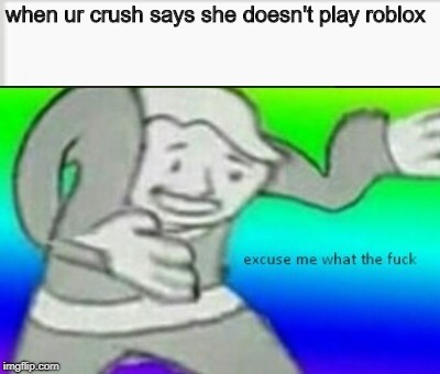 when ur crush says she doesn't play roblox | image tagged in excuse me wtf | made w/ Imgflip meme maker