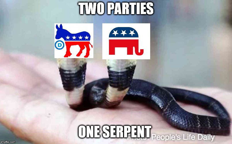 Two headed snake | TWO PARTIES; ONE SERPENT | image tagged in two headed snake | made w/ Imgflip meme maker