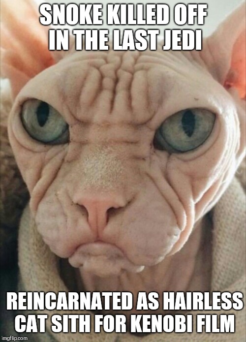 SNOKE KILLED OFF IN THE LAST JEDI REINCARNATED AS HAIRLESS CAT SITH FOR KENOBI FILM | made w/ Imgflip meme maker