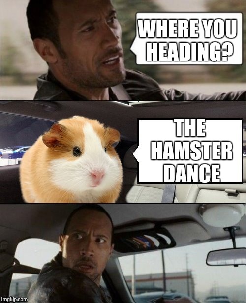 Come On Everybody ... Hamster Weekend, July 6-8, a bachmemeguy2, 1forpeace & Shen_Hiroku_Nagato event. | WHERE YOU HEADING? THE HAMSTER DANCE | image tagged in the rock and hammy,hamster weekend | made w/ Imgflip meme maker