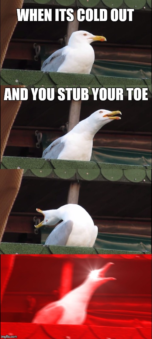 Inhaling Seagull Meme | WHEN ITS COLD OUT; AND YOU STUB YOUR TOE | image tagged in memes,inhaling seagull | made w/ Imgflip meme maker