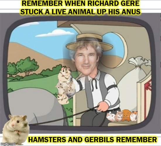 This may or may not of happened during the filming of Pretty Women  | REMEMBER WHEN RICHARD GERE STUCK A LIVE ANIMAL UP HIS ANUS; HAMSTERS AND GERBILS REMEMBER | image tagged in richard gere,hamster weekend,hamster,funny,memes | made w/ Imgflip meme maker