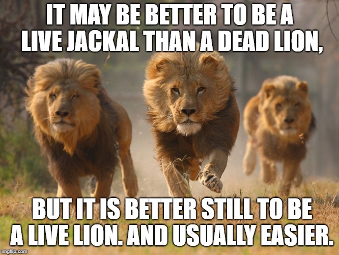 Lions Lookin For A Dentist | IT MAY BE BETTER TO BE A LIVE JACKAL THAN A DEAD LION, BUT IT IS BETTER STILL TO BE A LIVE LION. AND USUALLY EASIER. | image tagged in lions lookin for a dentist | made w/ Imgflip meme maker