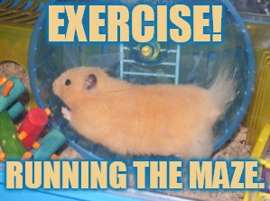 EXERCISE! RUNNING THE MAZE. | made w/ Imgflip meme maker