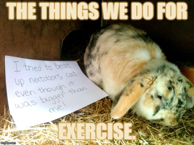 THE THINGS WE DO FOR EXERCISE. | made w/ Imgflip meme maker