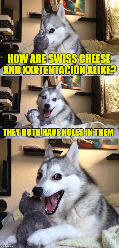 I'm Going To Hell For This XD | HOW ARE SWISS CHEESE AND XXXTENTACION ALIKE? THEY BOTH HAVE HOLES IN THEM | image tagged in memes,bad pun dog,dark humor,funny,xxxtentacion,rapper | made w/ Imgflip meme maker