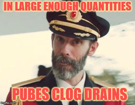 Captain Obvious | IN LARGE ENOUGH QUANTITIES PUBES CLOG DRAINS | image tagged in captain obvious | made w/ Imgflip meme maker