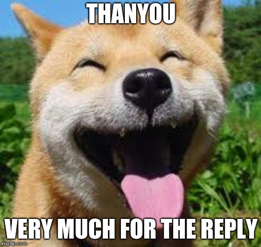 for the replys | THANYOU; VERY MUCH FOR THE REPLY | image tagged in happy doge,not actually a meme,just saying thanks | made w/ Imgflip meme maker