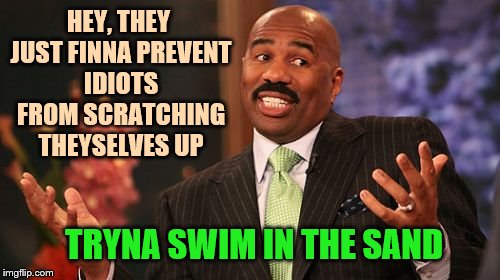 Steve Harvey Meme | HEY, THEY JUST FINNA PREVENT IDIOTS FROM SCRATCHING THEYSELVES UP TRYNA SWIM IN THE SAND | image tagged in memes,steve harvey | made w/ Imgflip meme maker